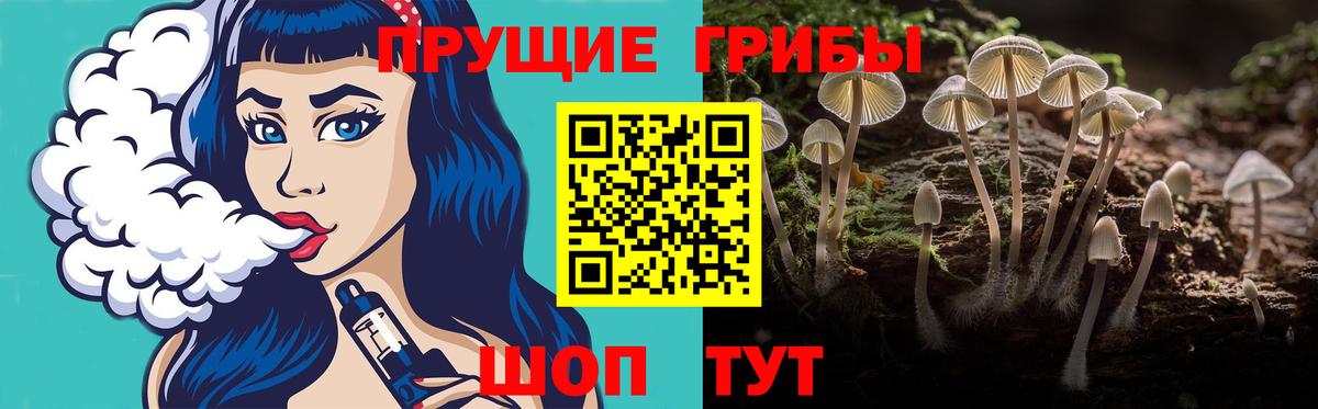 Псилоцибиновые грибы Psilocybine cubensis  Вход с VPN  Артёмовский  Галлюциногенные грибы ЛСД 